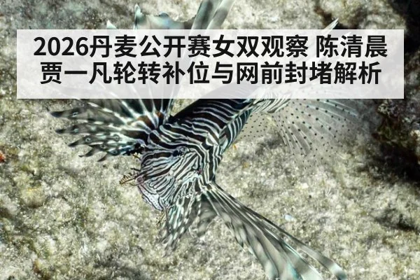 2026丹麦公开赛女双观察 陈清晨贾一凡轮转补位与网前封堵解析